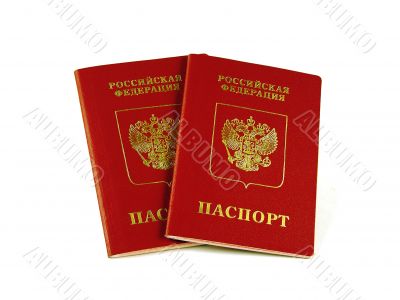 Foreign Russian passports