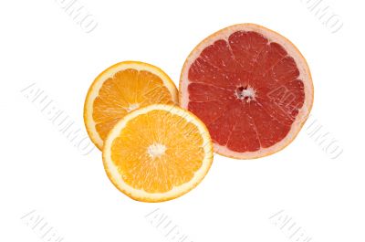 Citrus  fruit.