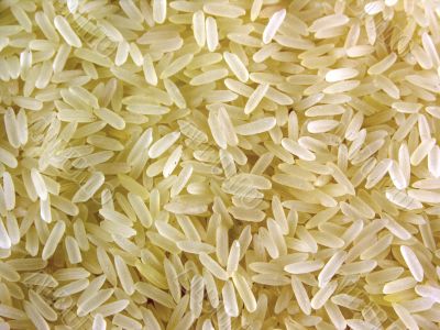 Grain culture rice