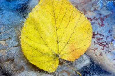 Autumn at the sea