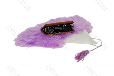 Opera Glasses and fan