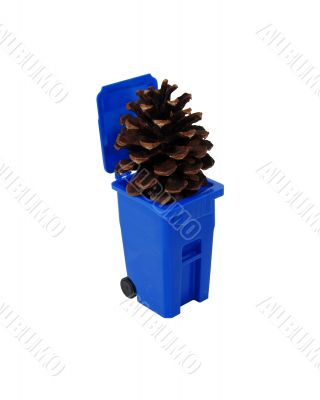 Pinecone and recycling bin