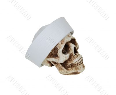 Skull in sailor cap