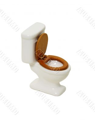 Porcelain Toilet
