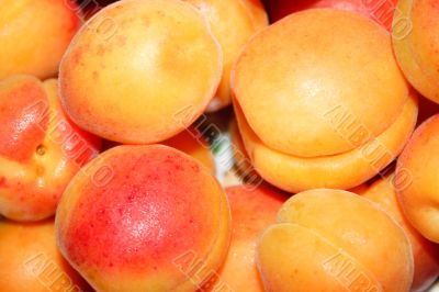 fresh apricot