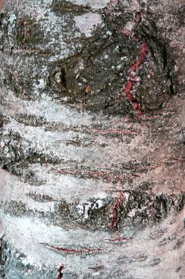 pattern and texture