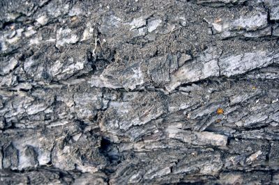 pattern and texture