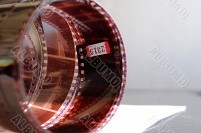 colour photographic film