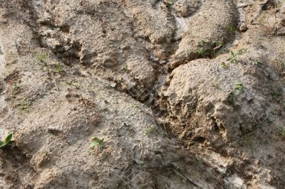 Soil erosion