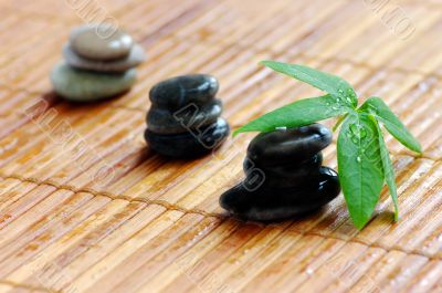 spa stones with green leaf