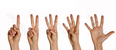 Counting fingers Counting fingers