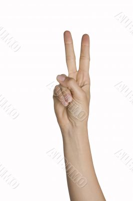 Counting fingers Counting fingers