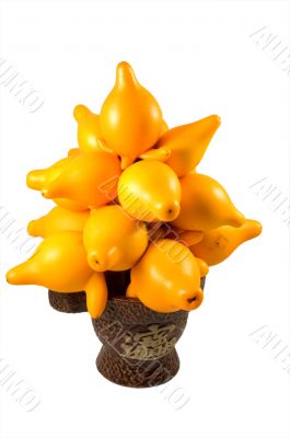 Solanum mammosum Solanum mammosum