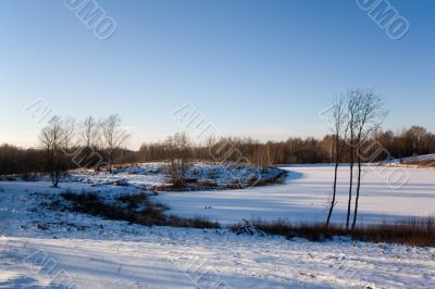 Winter landscape
