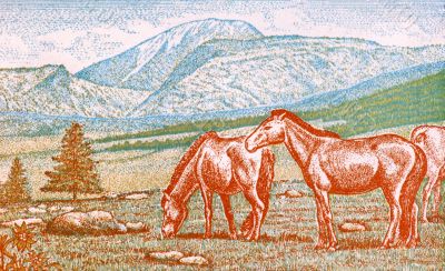 Mongolian Horses