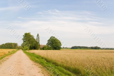 Crop field and house Crop field and house