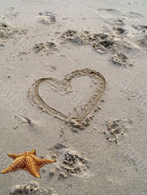 At the seaside