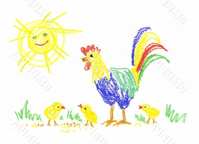  chicken and rooster