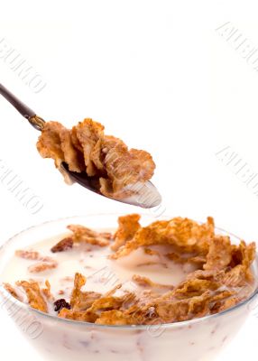 cornflakes with milk in a bowl