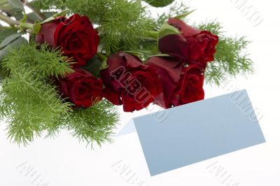 red roses with a blue place card red roses with a blue place card