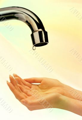 Womans hands
