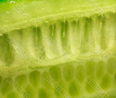 Abstraction background - cucumber