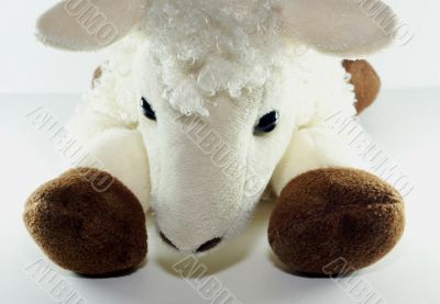 white toy lamb