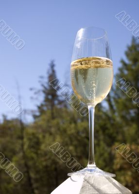 Sparkling wine in a glass bathed in sunshine and poised to drink