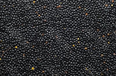 black lentil background