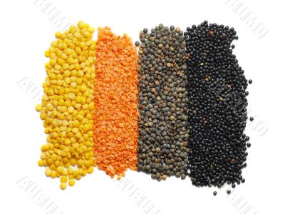 lentil, different types