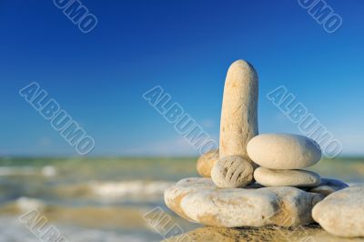 Morning on a beach