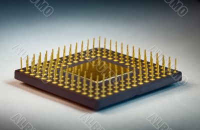 legs of the processor