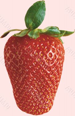 A strawberry