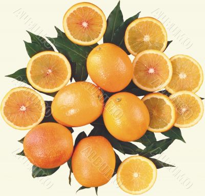 Oranges