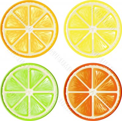 Citrus Citrus