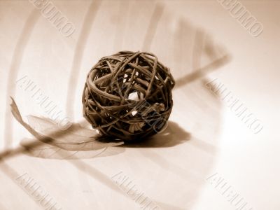 Decorative a composition in brown tones Decorative a composition in brown tones