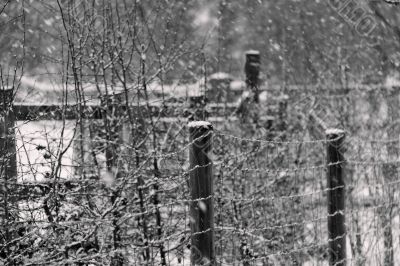 posts in the snow