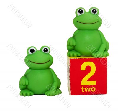 Two frogs