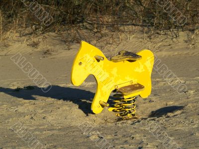 Lonely horse on the beach