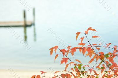 Tranquil Morning Lake Scene