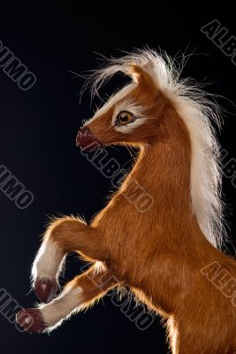 Reared horse toy isolated on black