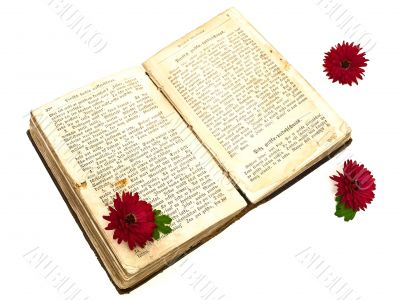 old book and flowers old book and flowers