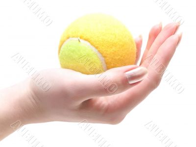 tennis ball in hand tennis ball in hand