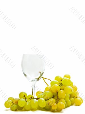 wineglass and grape