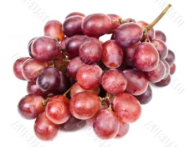 grape grape