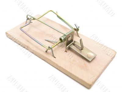 mousetrap mousetrap