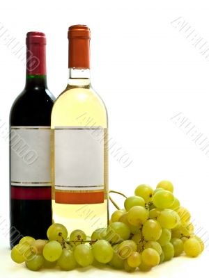  red and white wine with vine