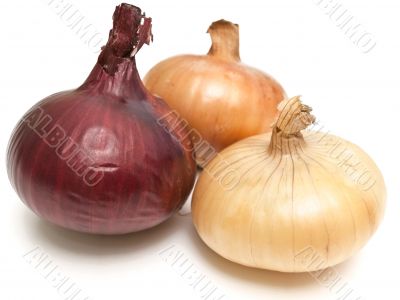 onion