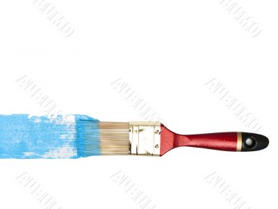 bristle with blue color