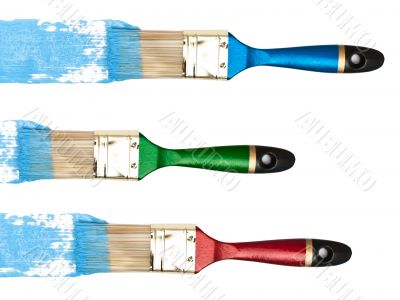bristles with blue color
